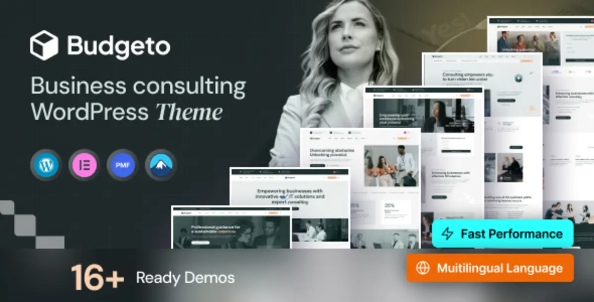Budgeto 1.0.7 – Tema WordPress Business Consulting untuk Agency, Corporate & Startup